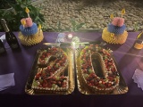 Camp Yofi 2024 - 20 Years